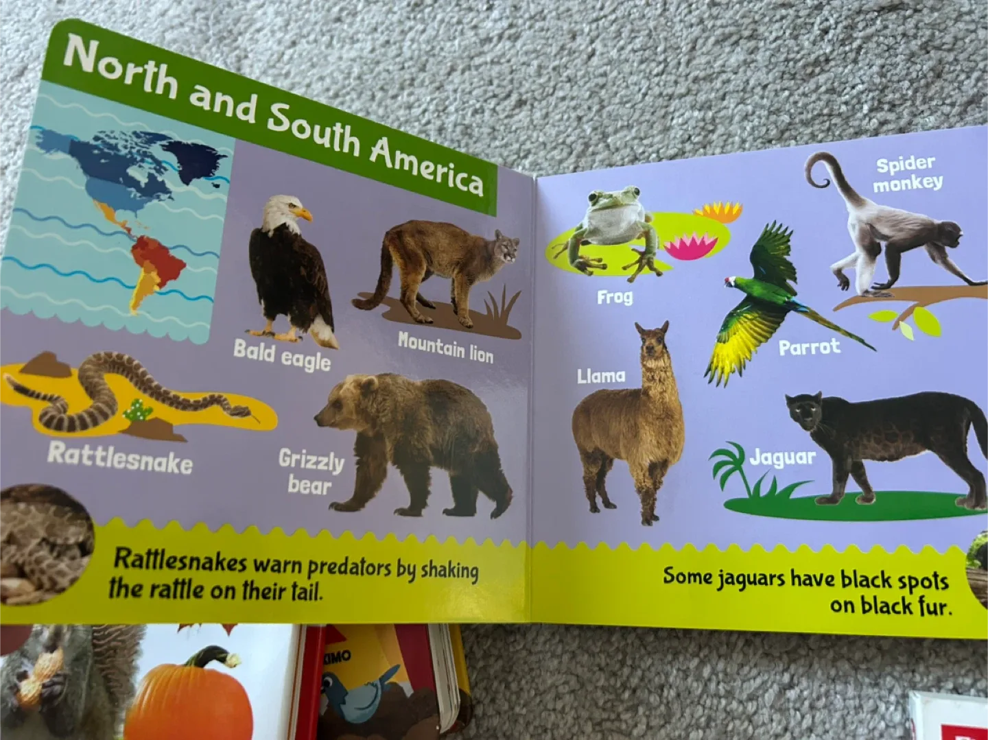 Toddlers board books bundle image indicator(6)