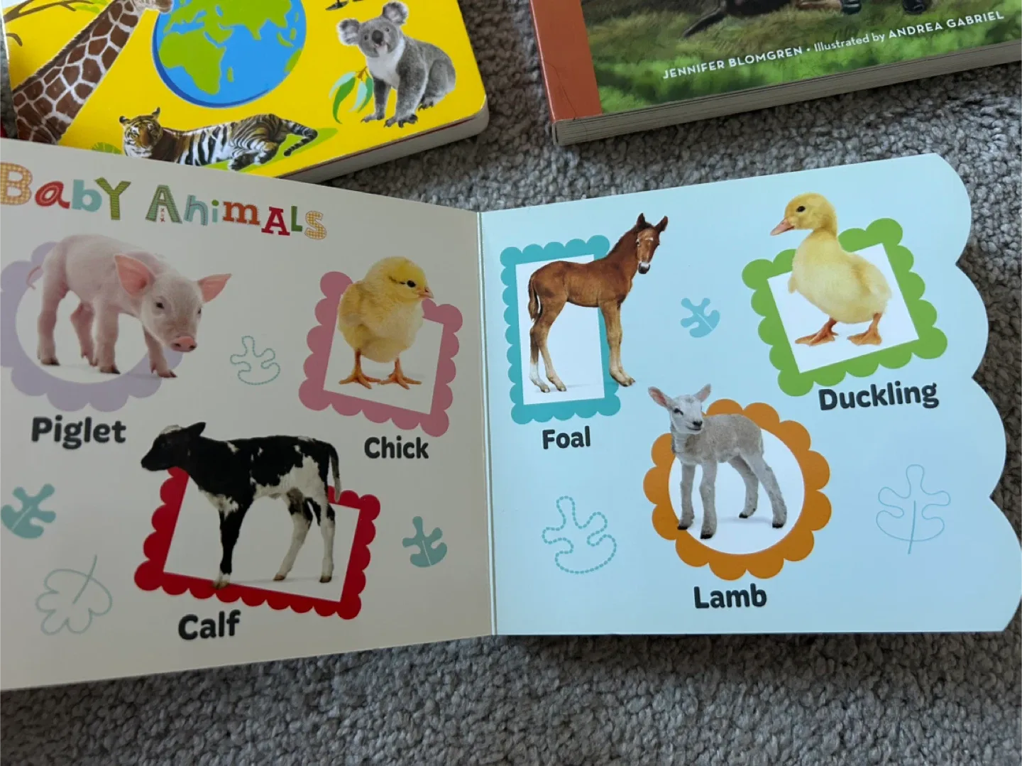 Toddlers board books bundle image indicator(5)