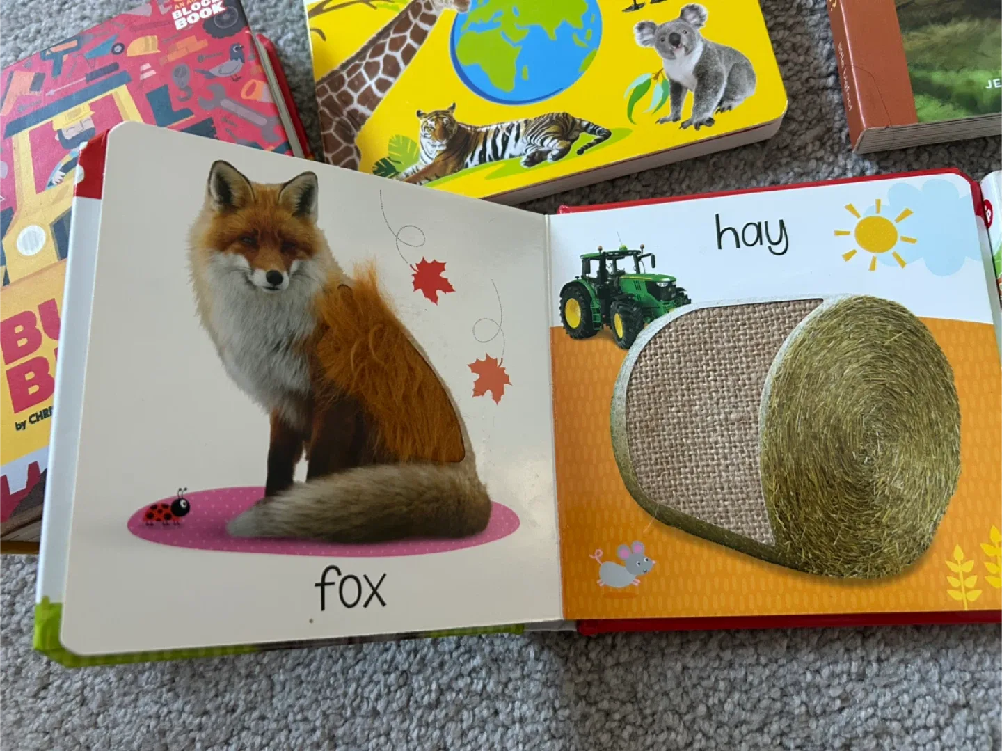 Toddlers board books bundle image indicator(3)
