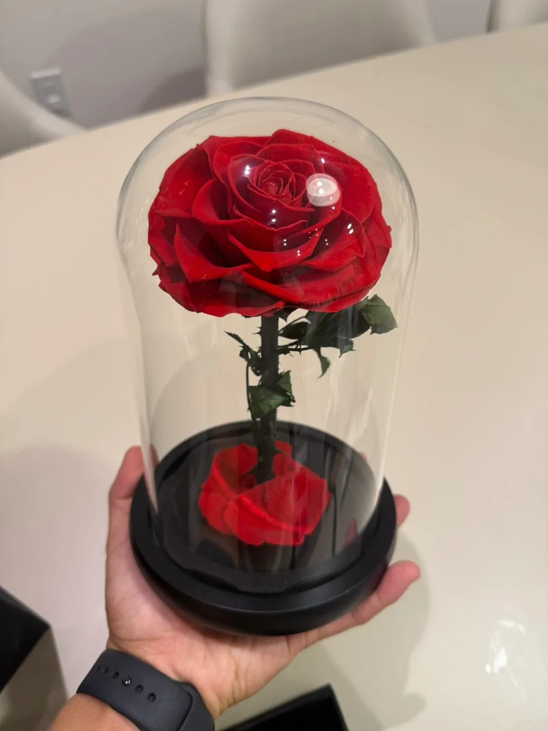 HOT GIFT! 9”Real Preserved Rose in the Glass Dome with Gift Box image indicator(2)