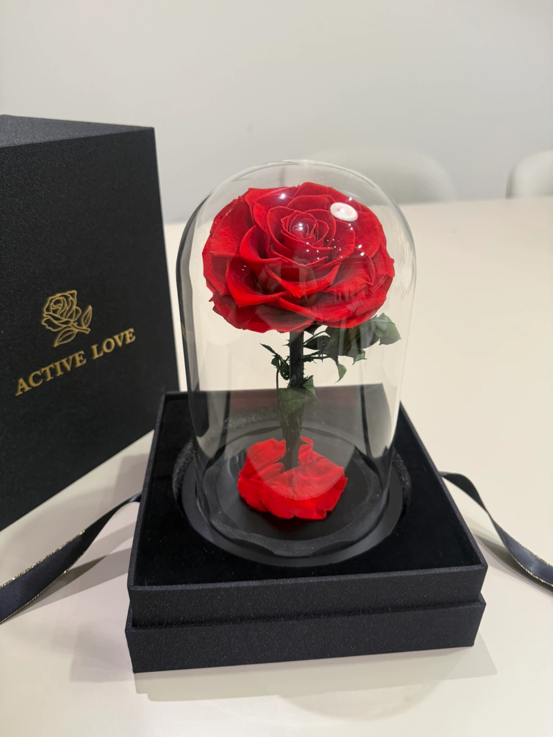 HOT GIFT! 9”Real Preserved Rose in the Glass Dome with Gift Box