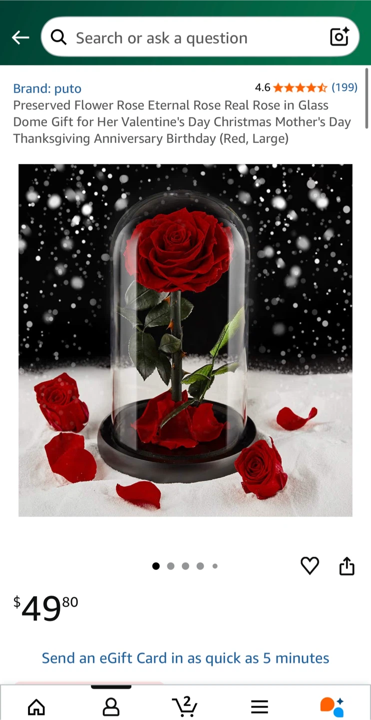 HOT GIFT! 9”Real Preserved Rose in the Glass Dome with Gift Box - photo 4