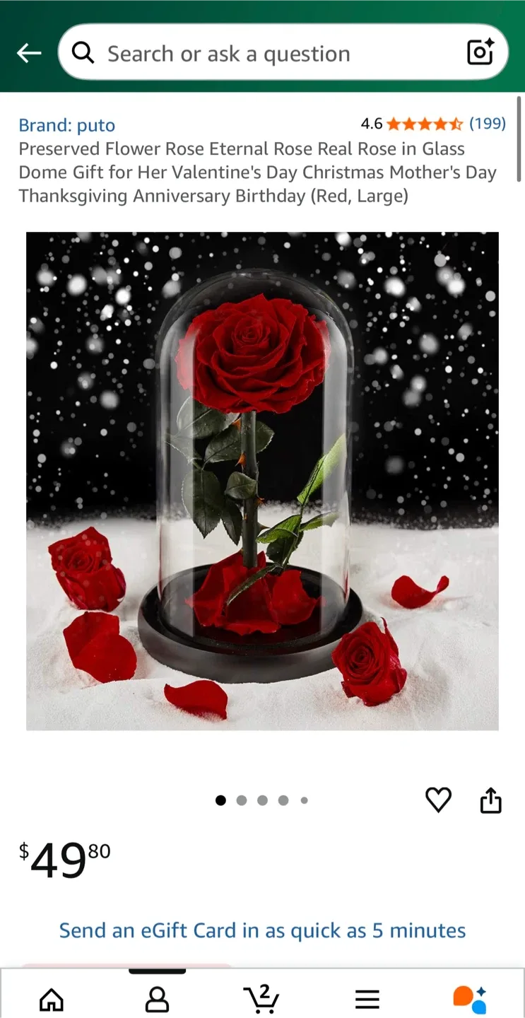 HOT GIFT! 9”Real Preserved Rose in the Glass Dome with Gift Box image indicator(4)