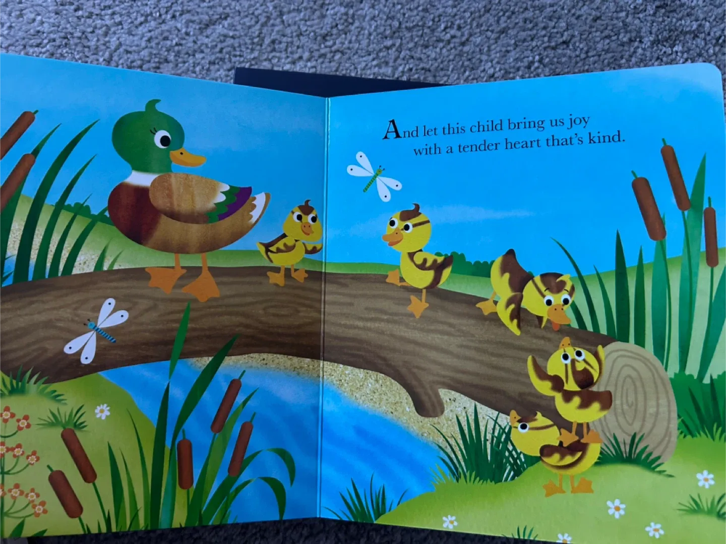 Toddlers /kids board Books lot image indicator(4)