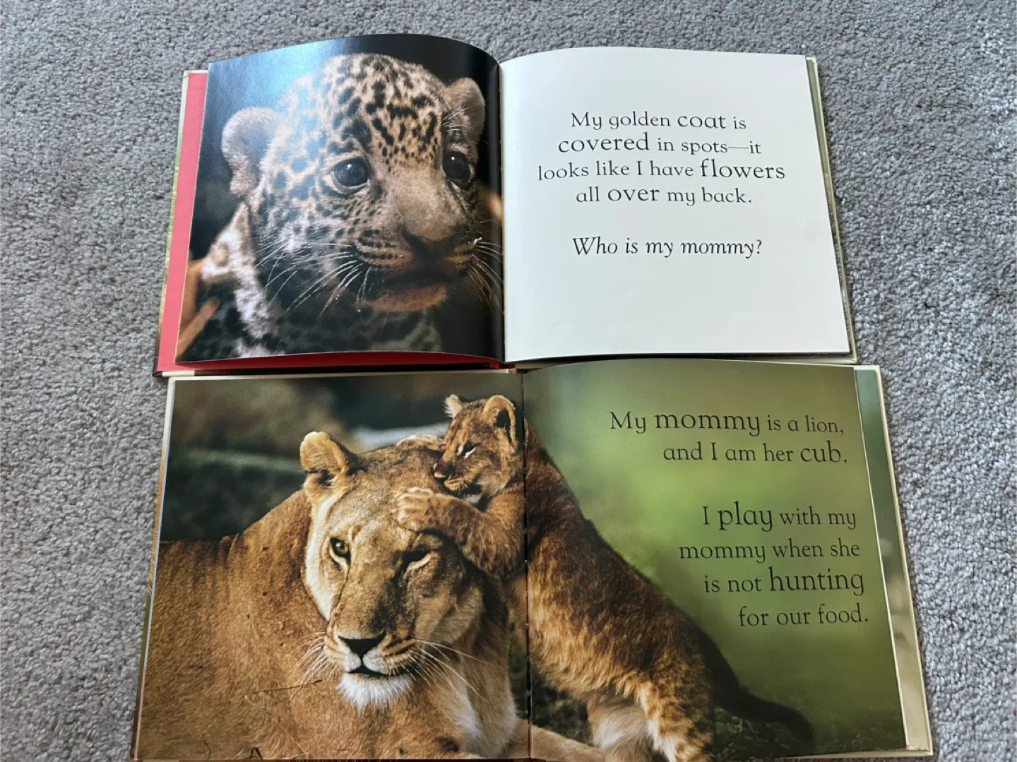 Animal Babies Books - Rain Forests & Grasslands image indicator(2)