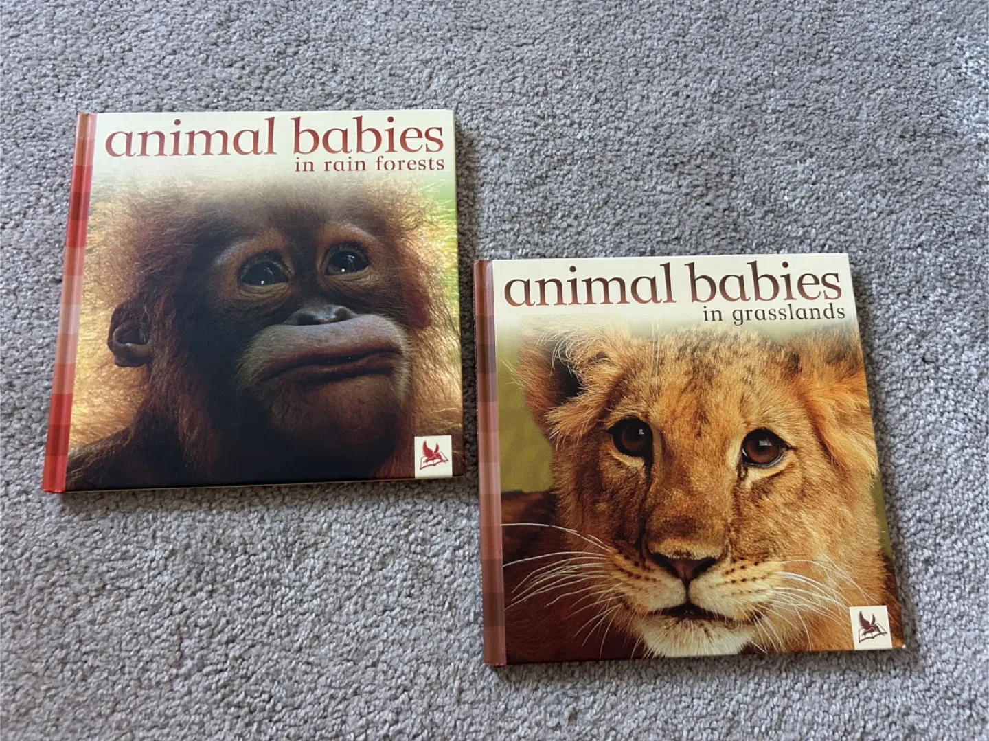 Animal Babies Books - Rain Forests & Grasslands