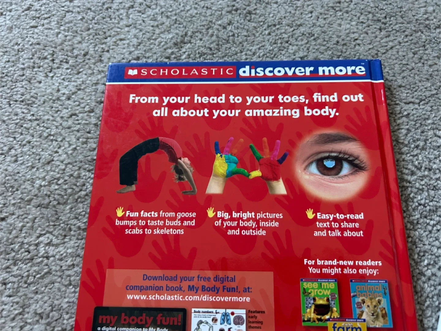 Scholastic Discover More & Little Explorers Books image indicator(4)