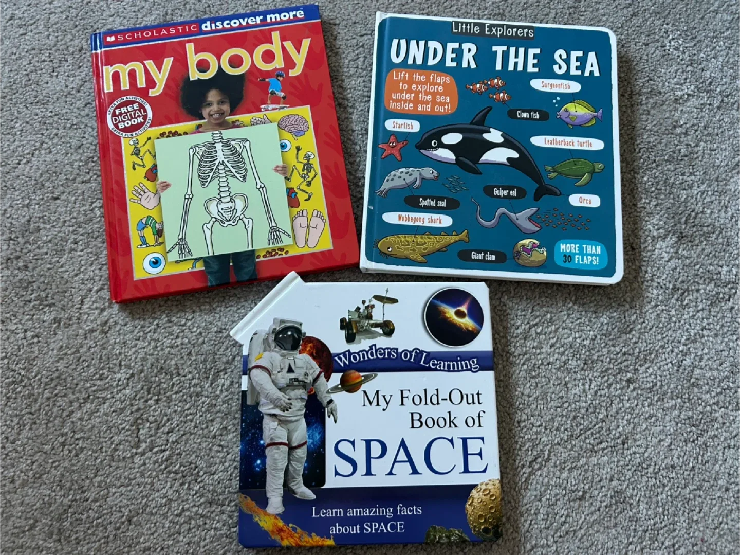 Scholastic Discover More & Little Explorers Books