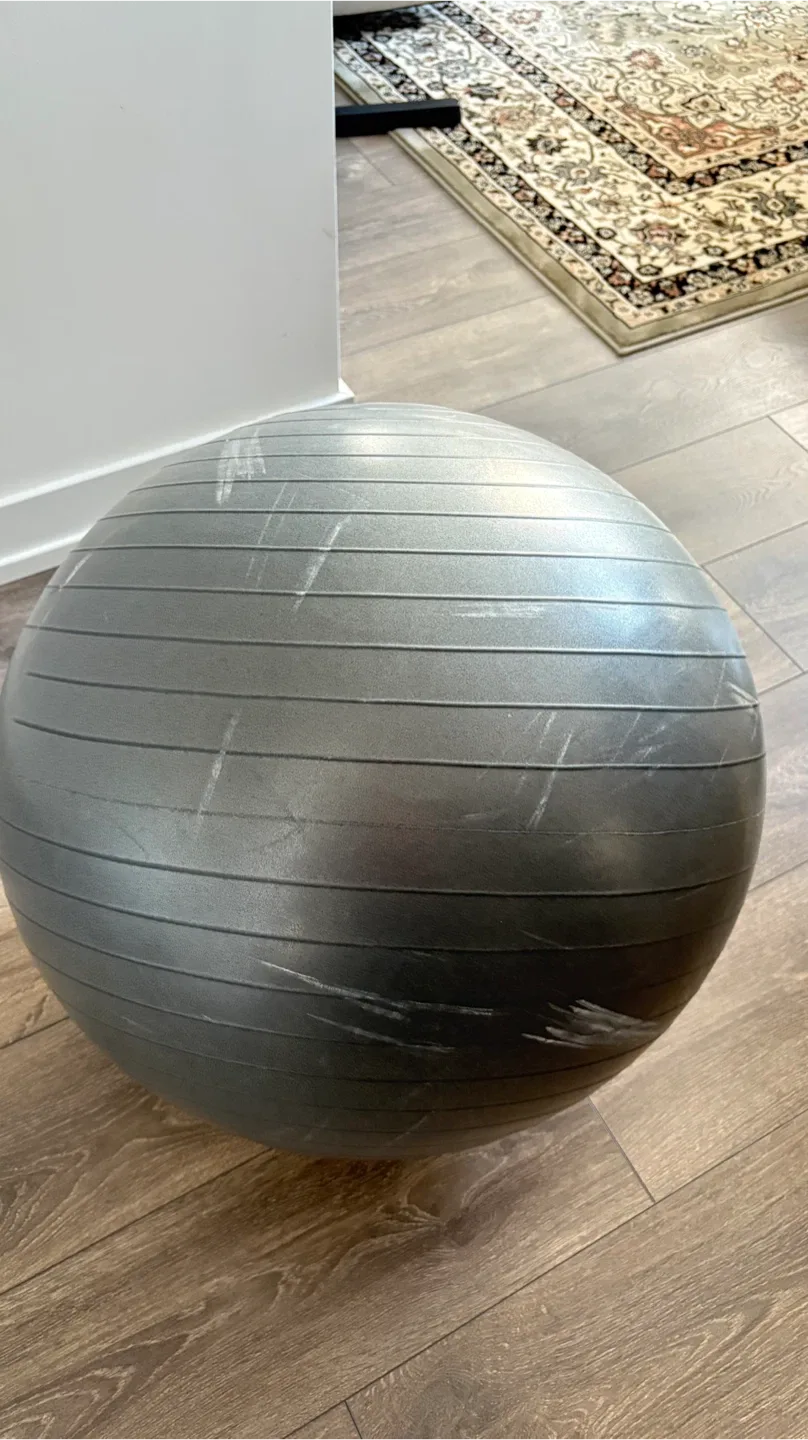 Ignite by Spri Exercise Ball image indicator(4)