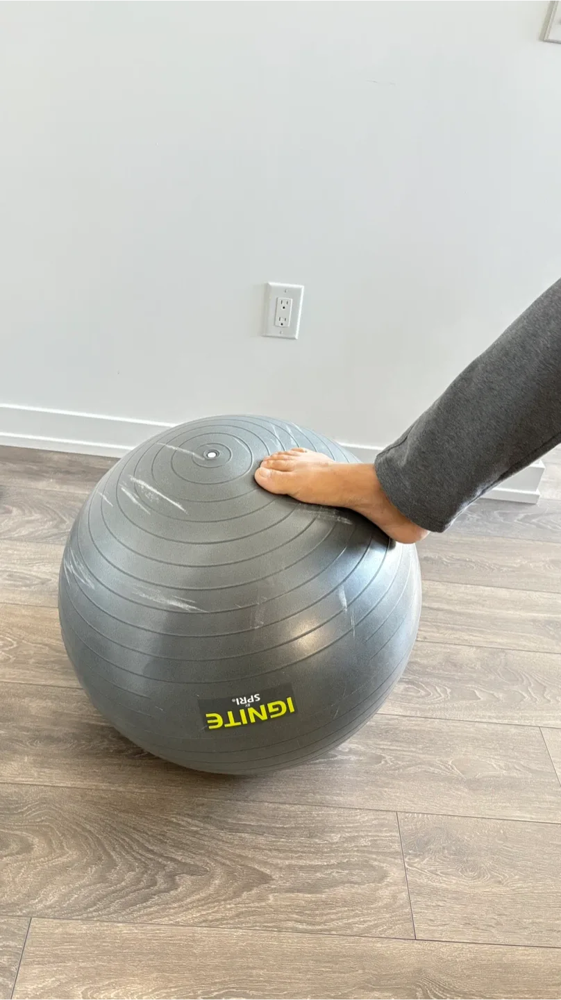 Ignite by Spri Exercise Ball image indicator(8)