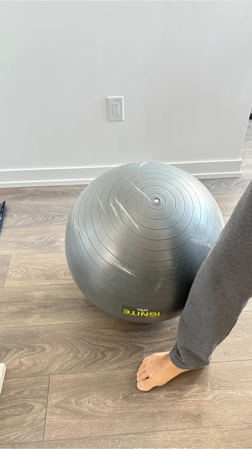 Ignite by Spri Exercise Ball image indicator(7)