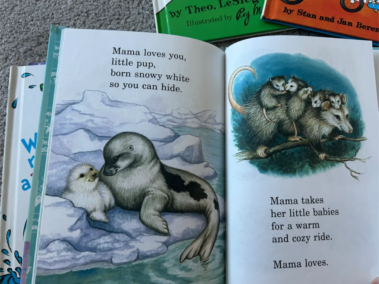 Kids' Beginner Books Bundle image indicator(4)