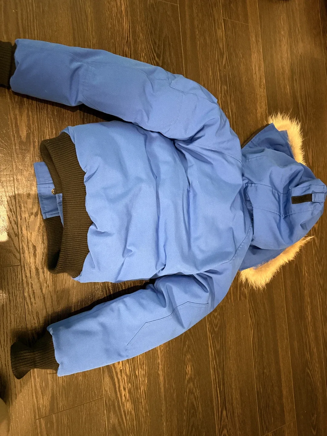 Canada Goose Blue Jacket, Size M (10-12) image indicator(3)