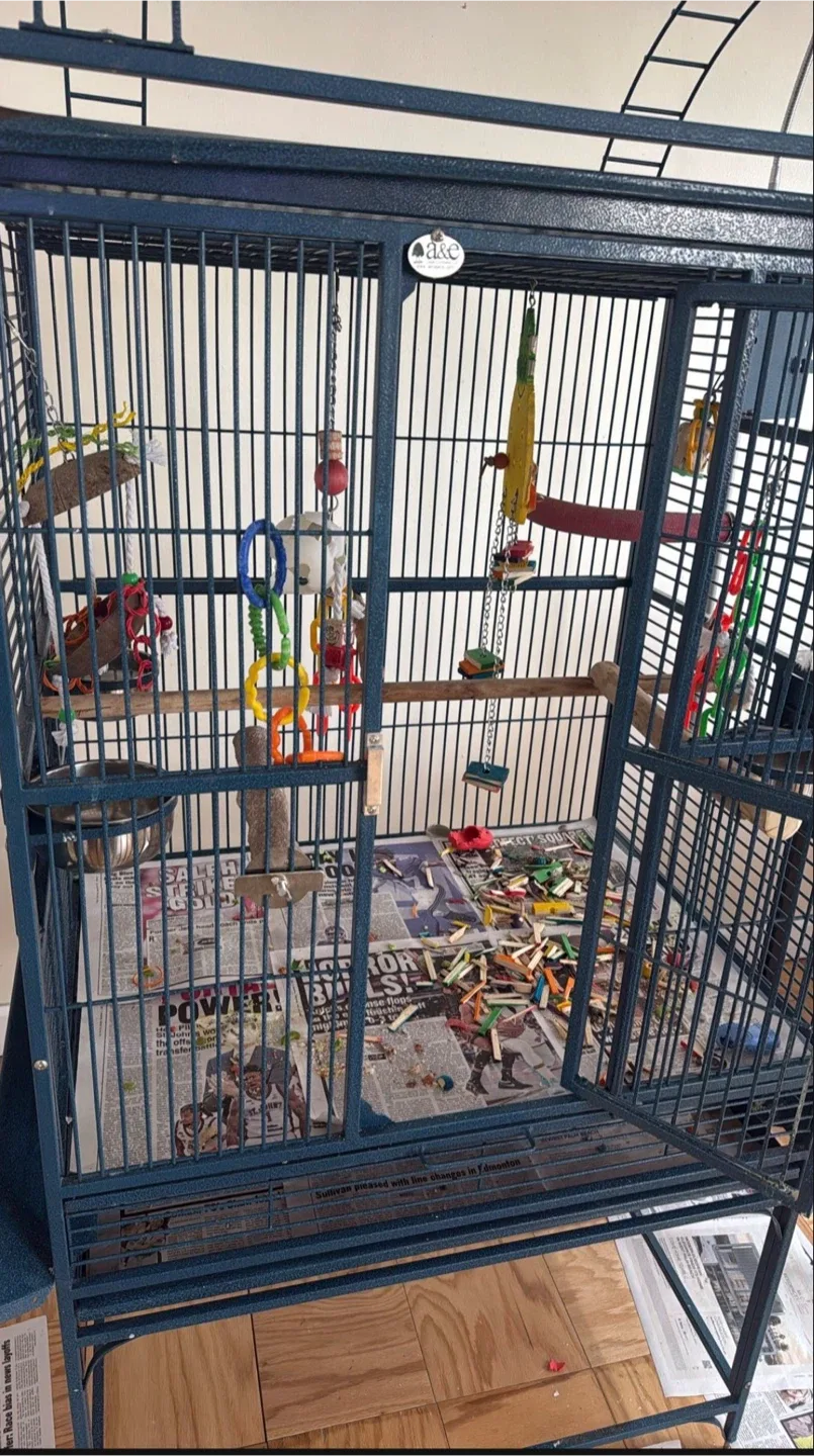 Large A&E Cage Company Parrot/Bird Cage image indicator(3)