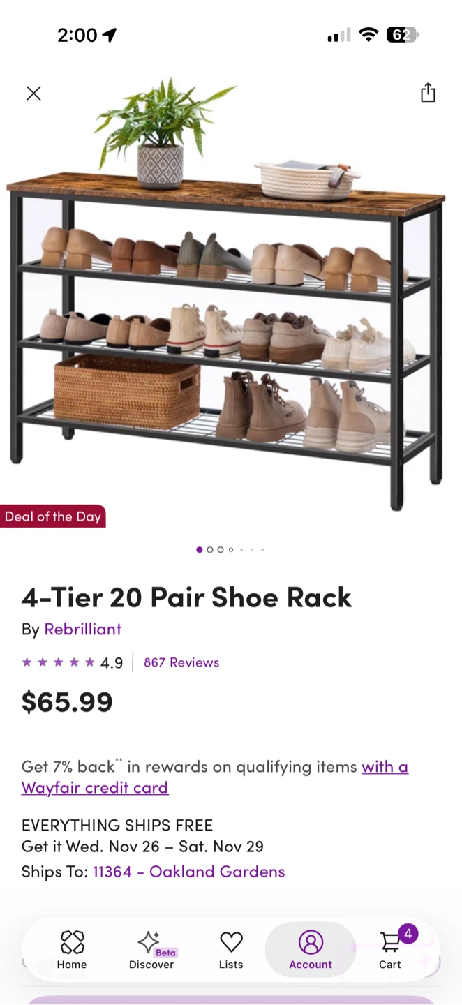 Rebrilliant 4-Tier 20 Pair Shoe Rack
