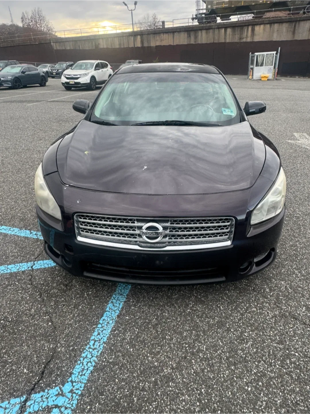 Nissan maxima 2010 image indicator(7)