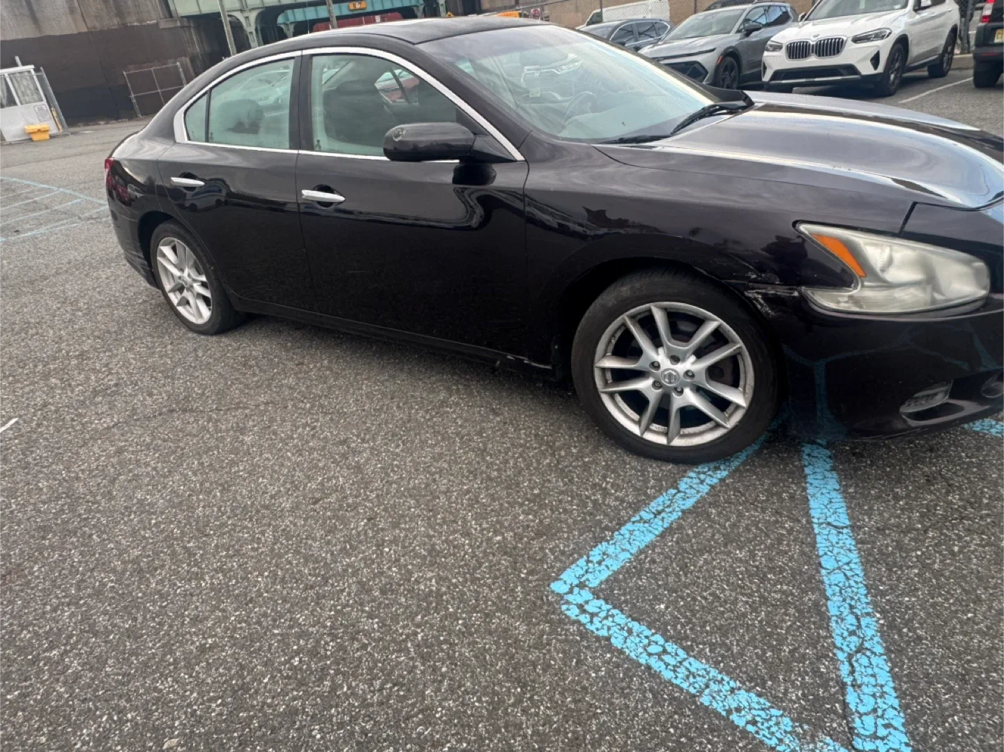 Nissan maxima 2010 image indicator(6)