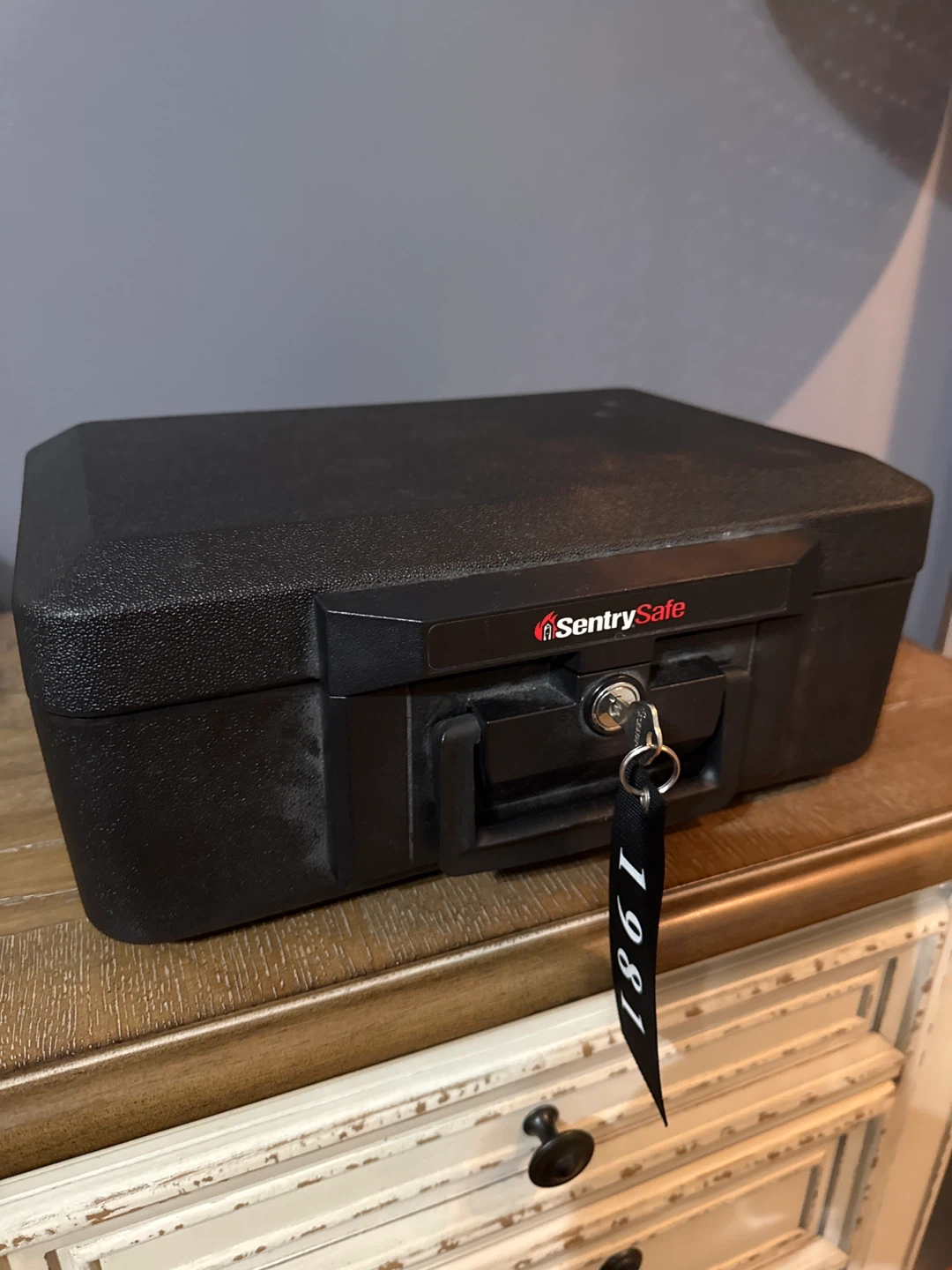 SentrySafe Fireproof Safe