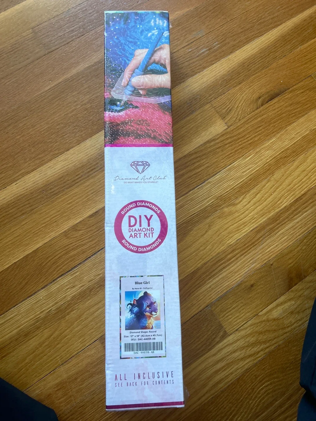 Diamond Art Club Blue Girl DIY Diamond Art Kit 17x18