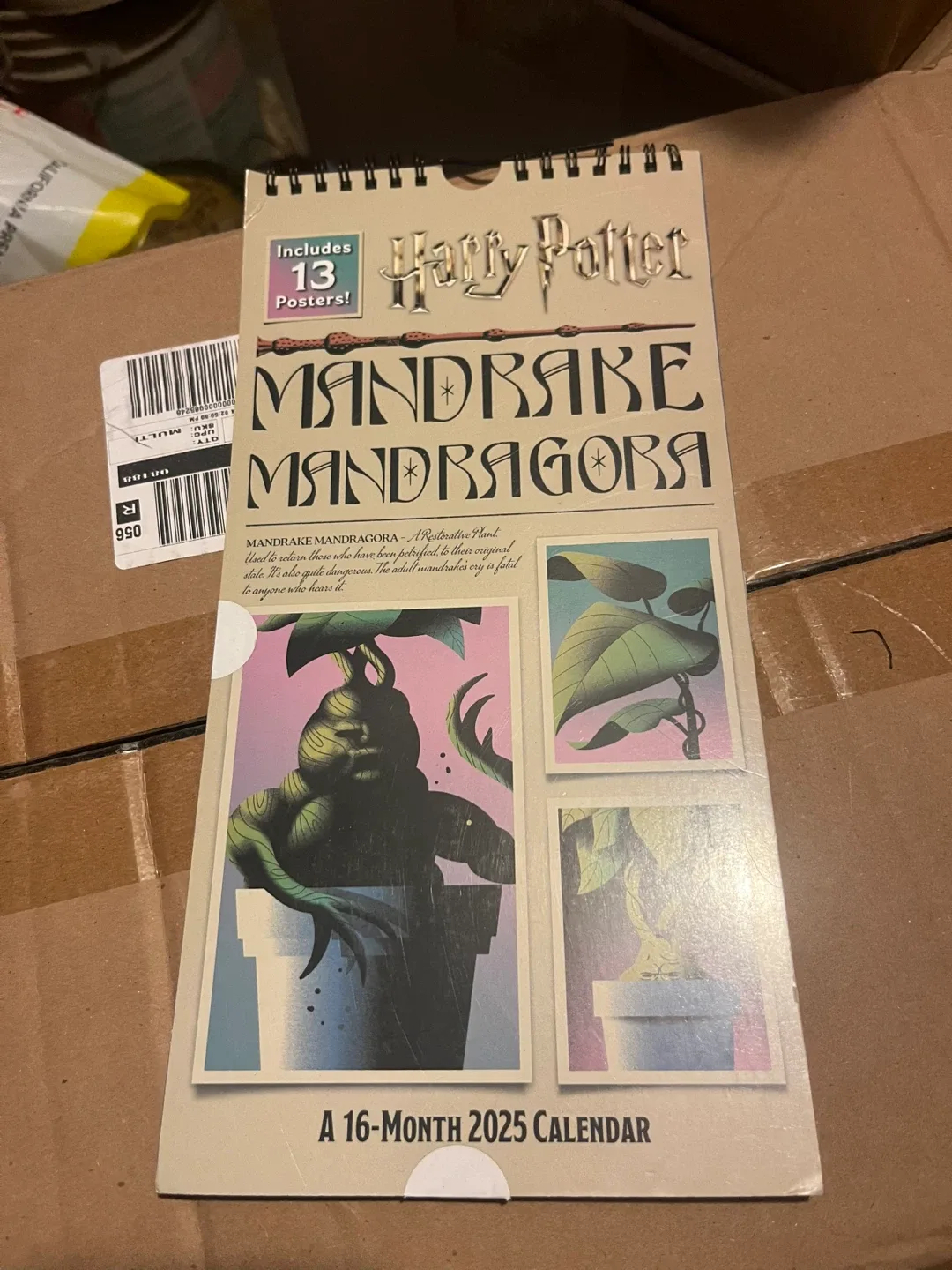 Harry Potter Mandrake 2025 Calendar image indicator(2)