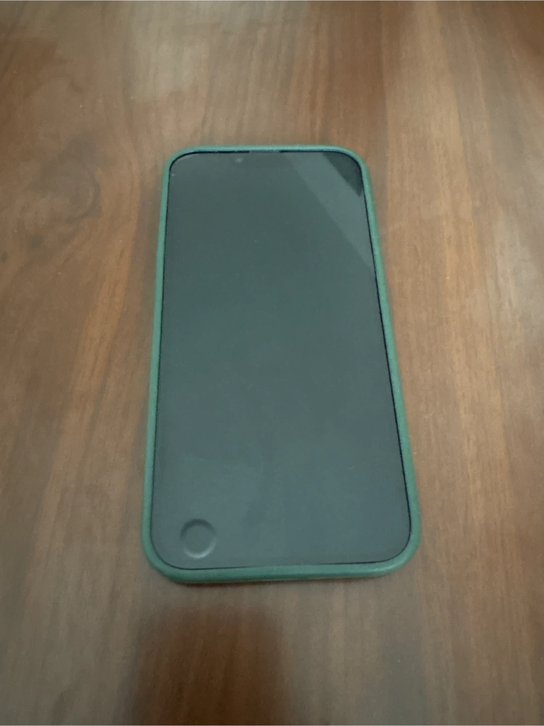 iPhone 13 in Blue