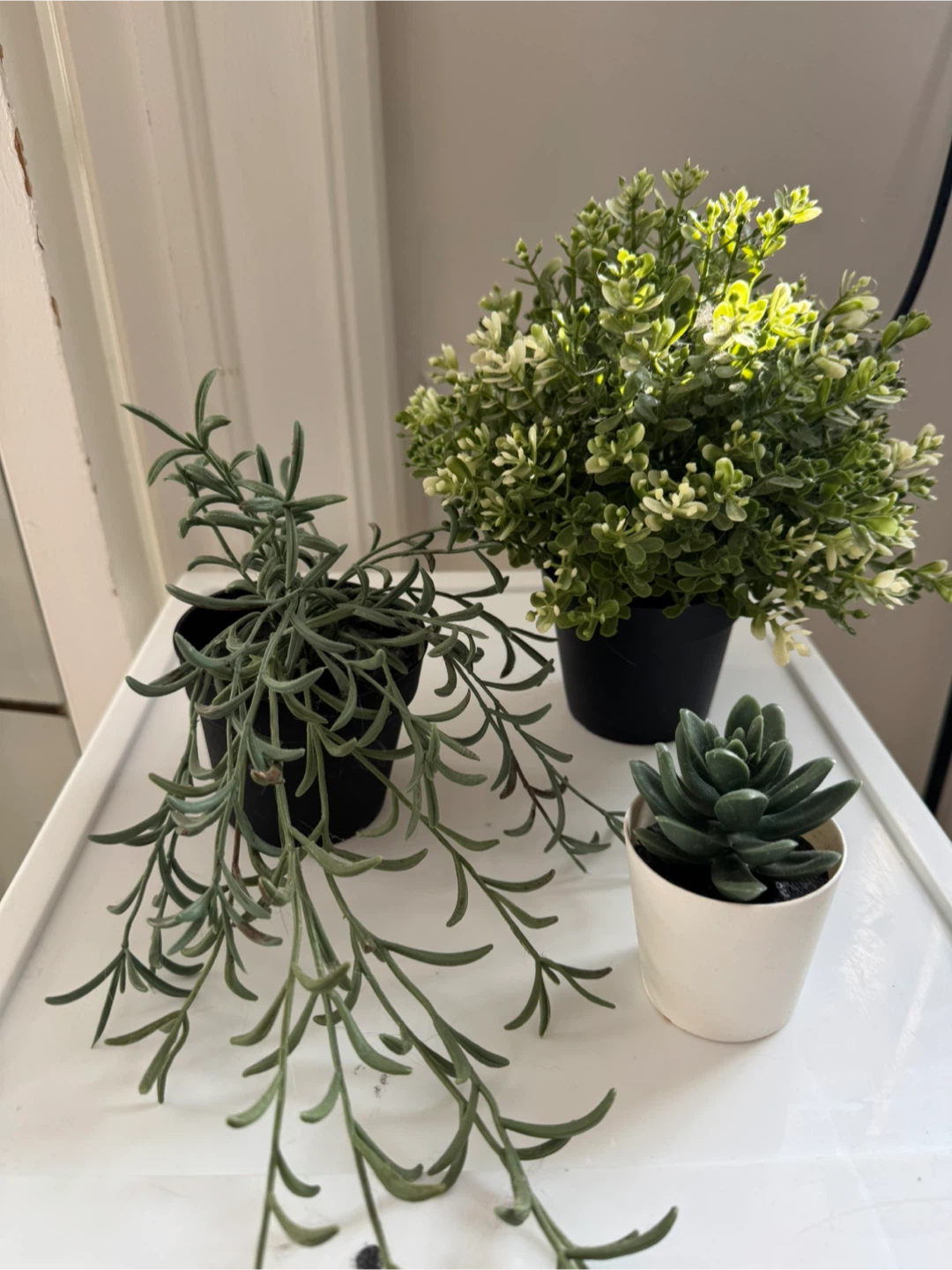 Artificial Succulents - Set of 3