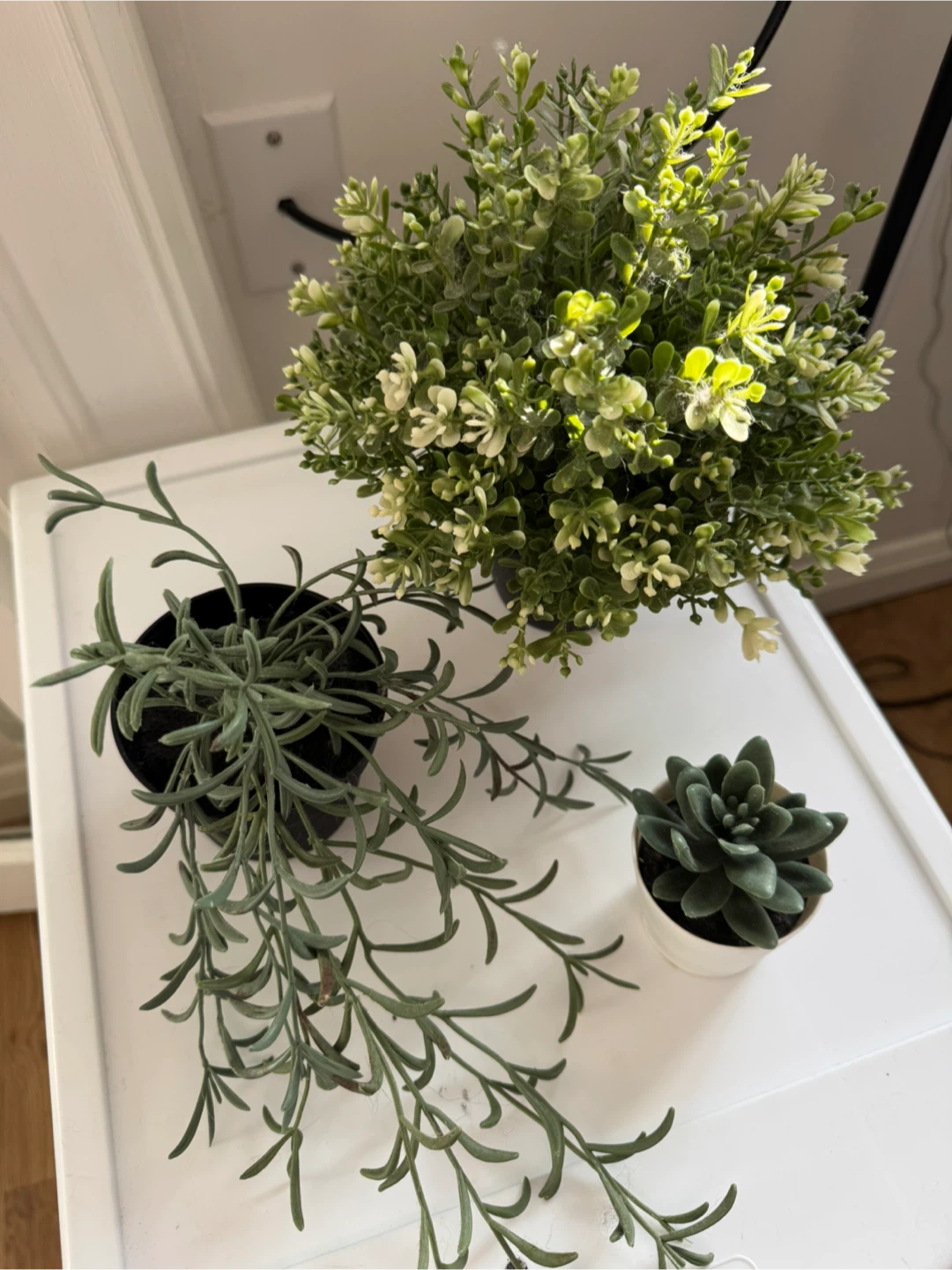 Artificial Succulents - Set of 3 - photo 2