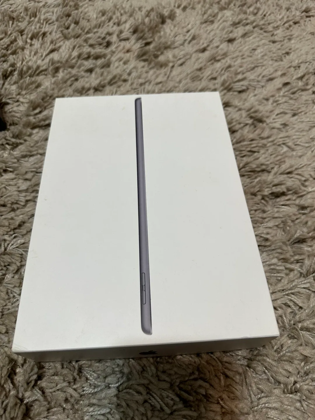 Apple iPad empty boxes image indicator(3)