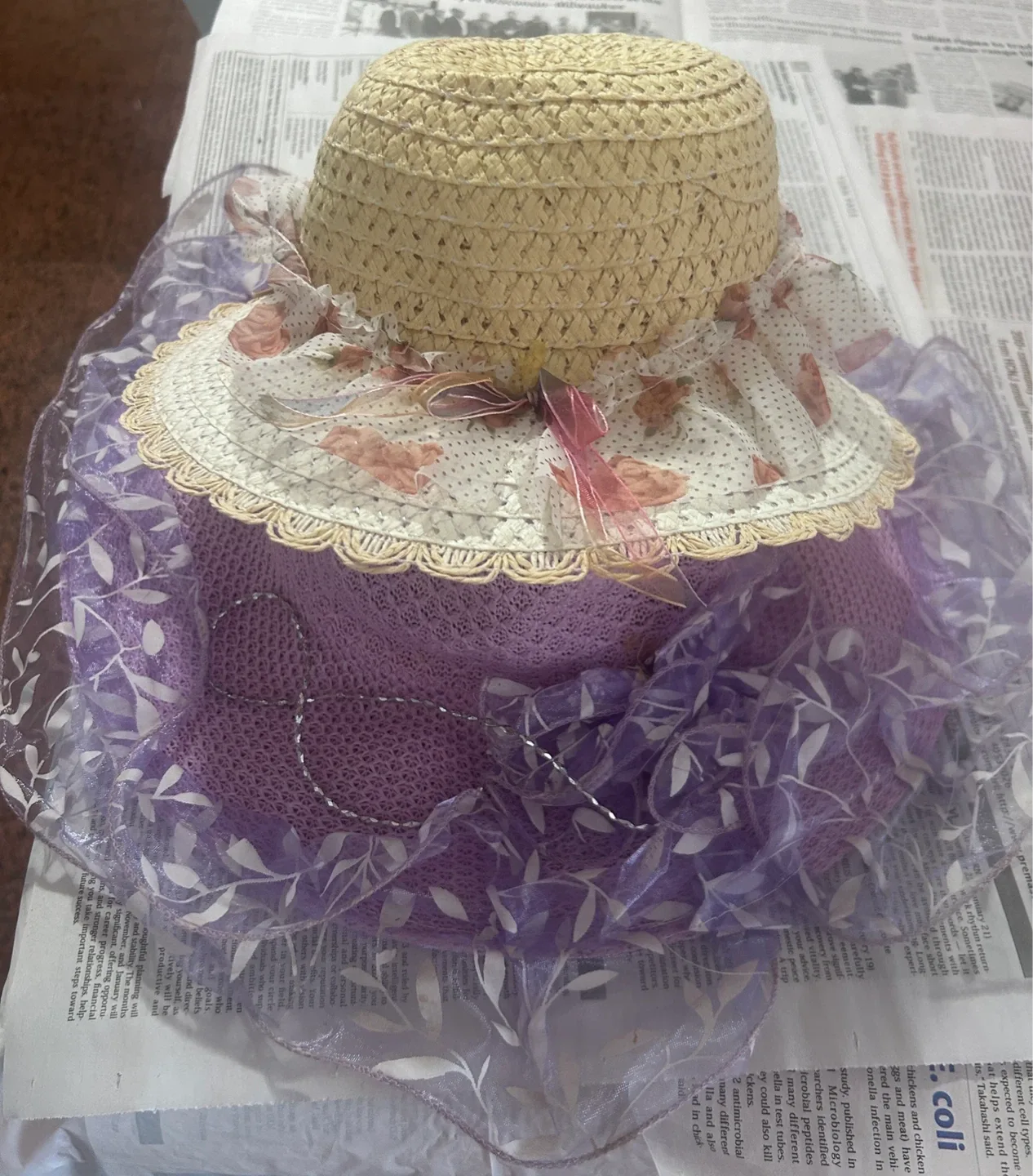 Assorted Women's Hats image indicator(5)