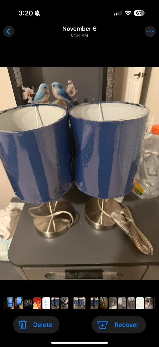 Pair of Blue Lamps image indicator(2)