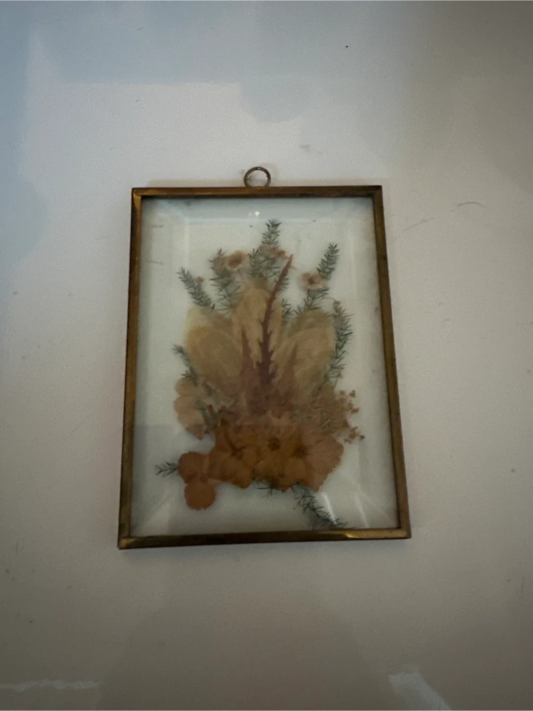 Pressed Foliage Glass Art
