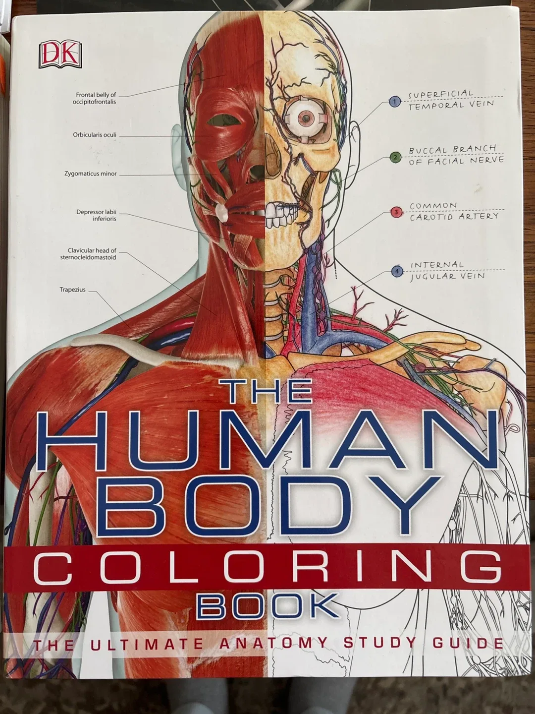 Personal Training Specialist Bundle image indicator(5)