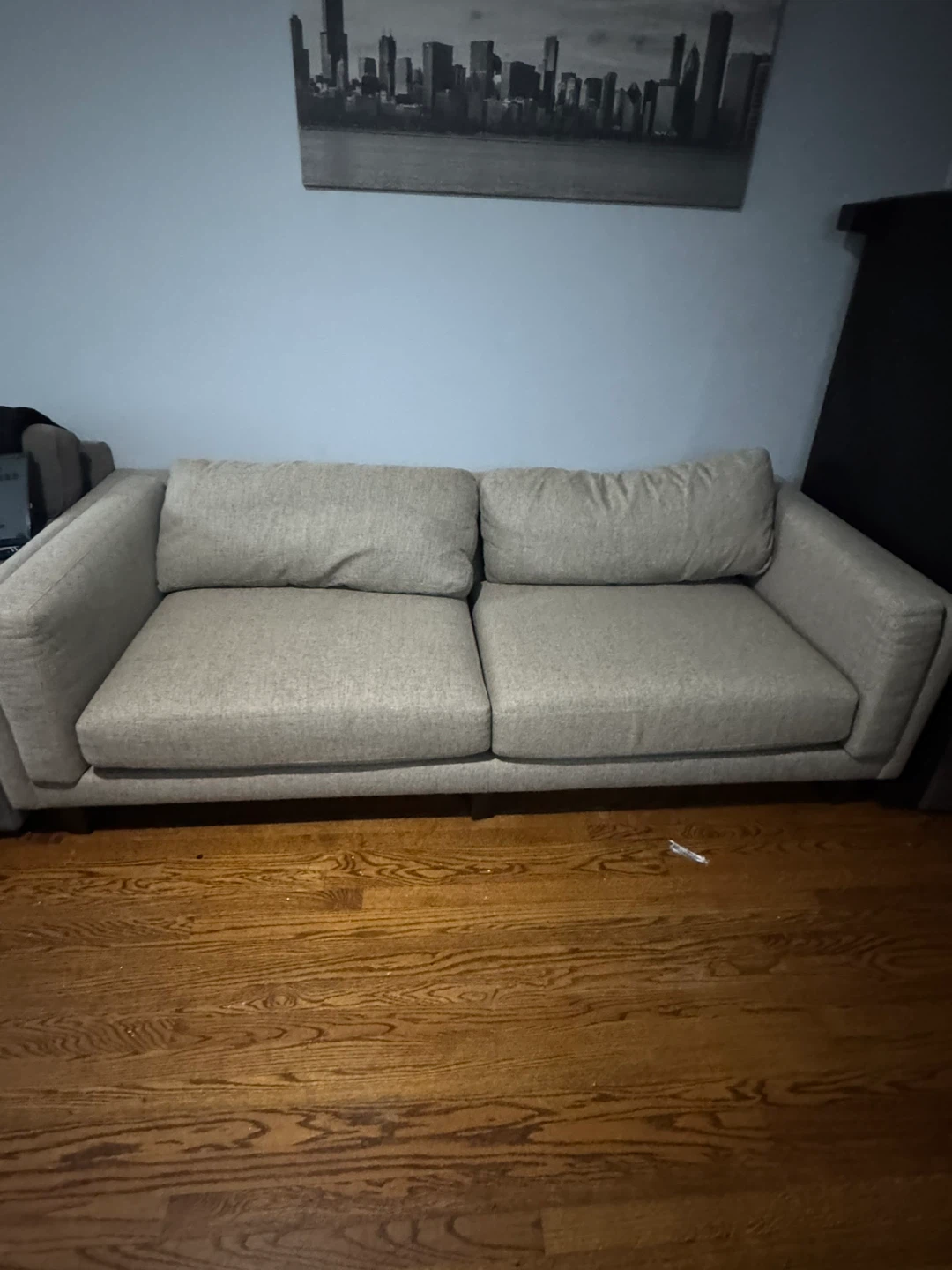 Gray Sofa - 91x42 inches - photo 2