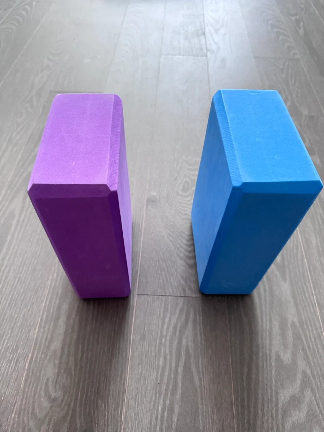 Yoga Blocks - Purple and Blue