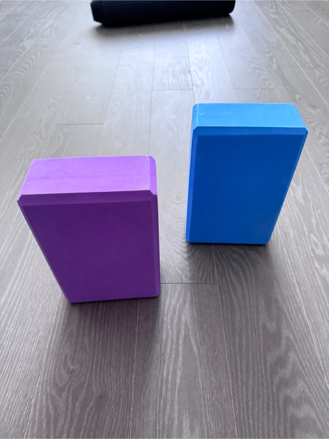 Yoga Blocks - Purple and Blue - photo 4