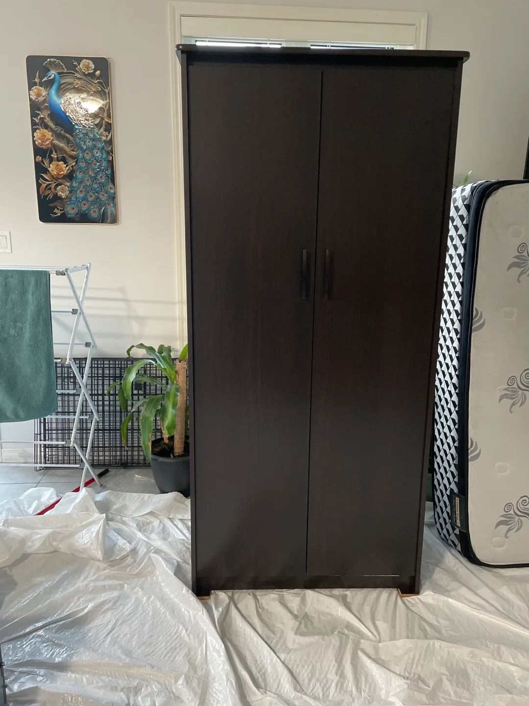 Dark Brown Wardrobe Cabinet