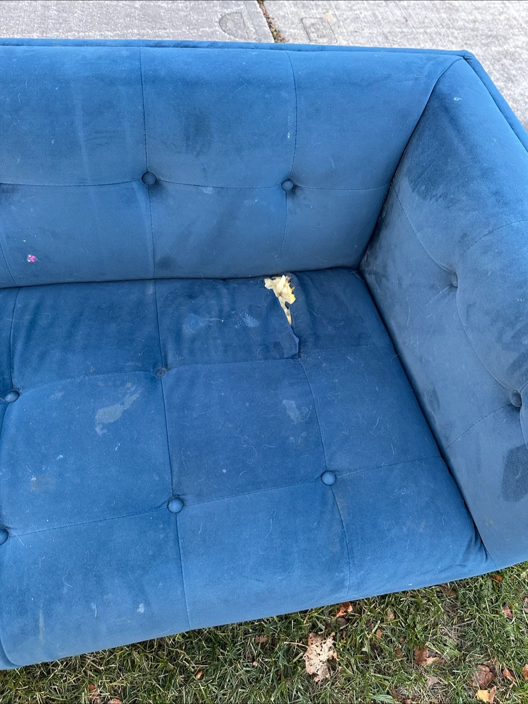 Free sofa image indicator(2)