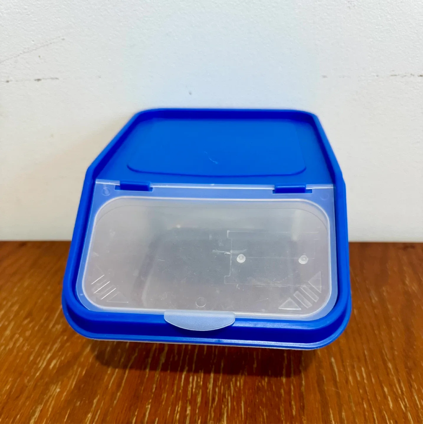 Blue Plastic Food Storage Container