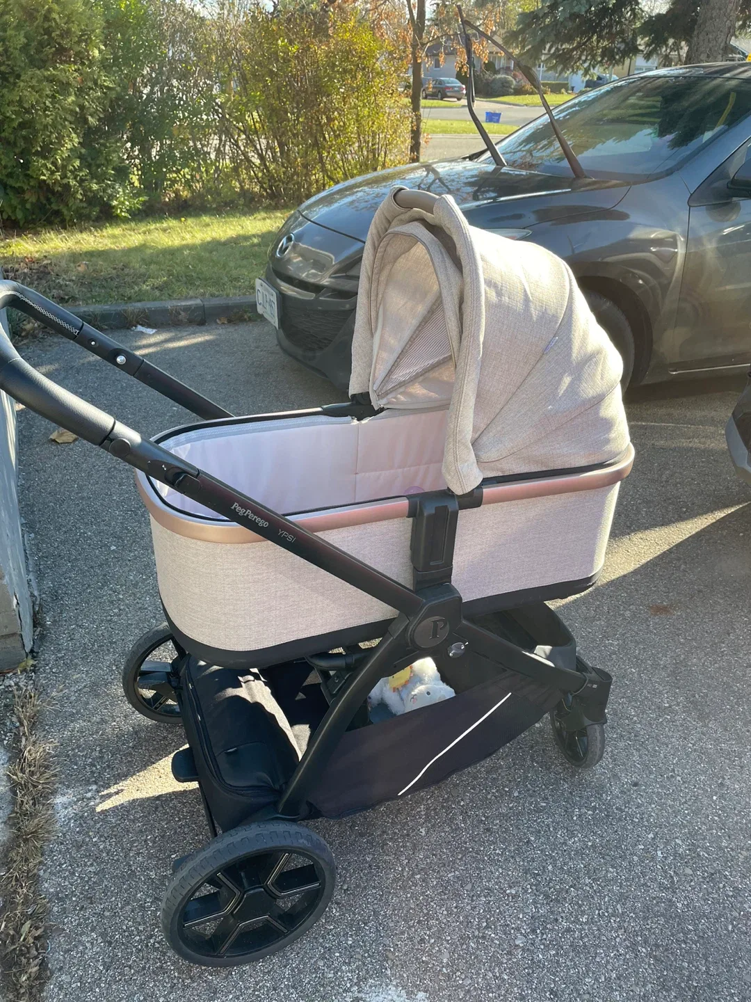 Peg Perego Bassinet image indicator(6)