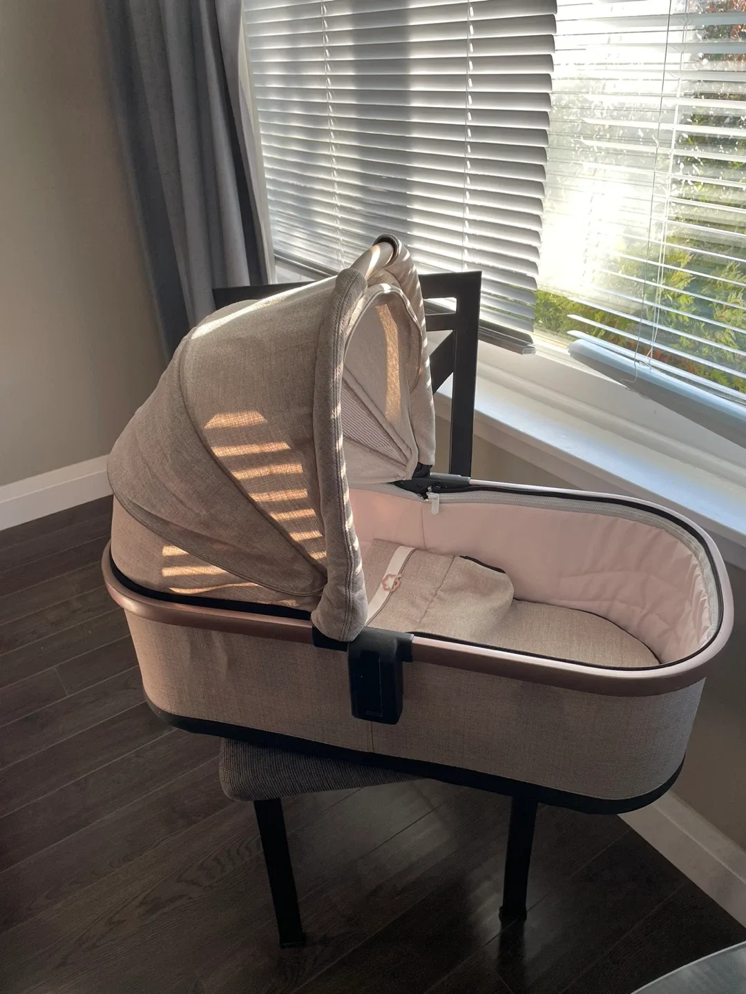 Peg Perego Bassinet