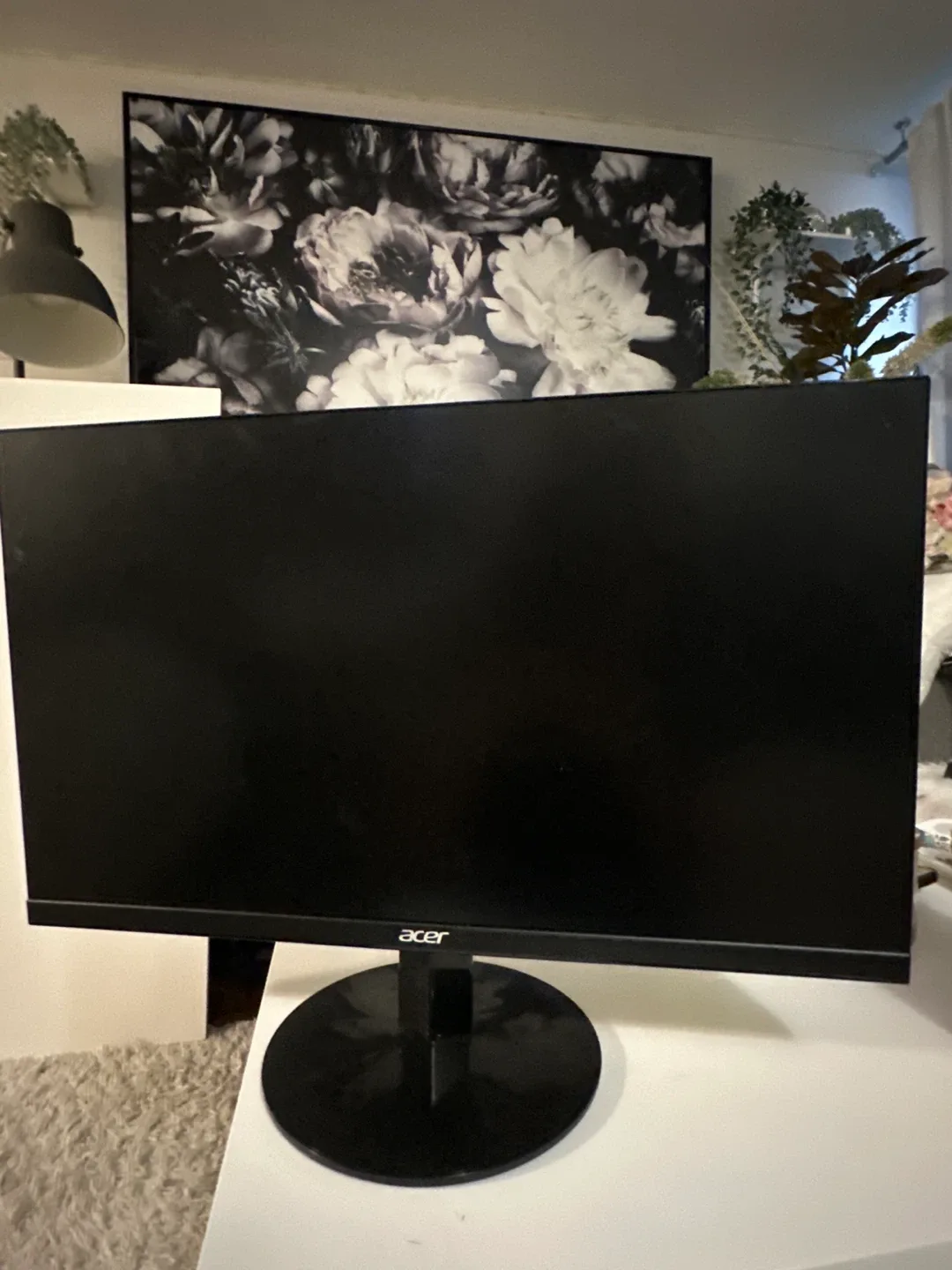 Acer Monitor