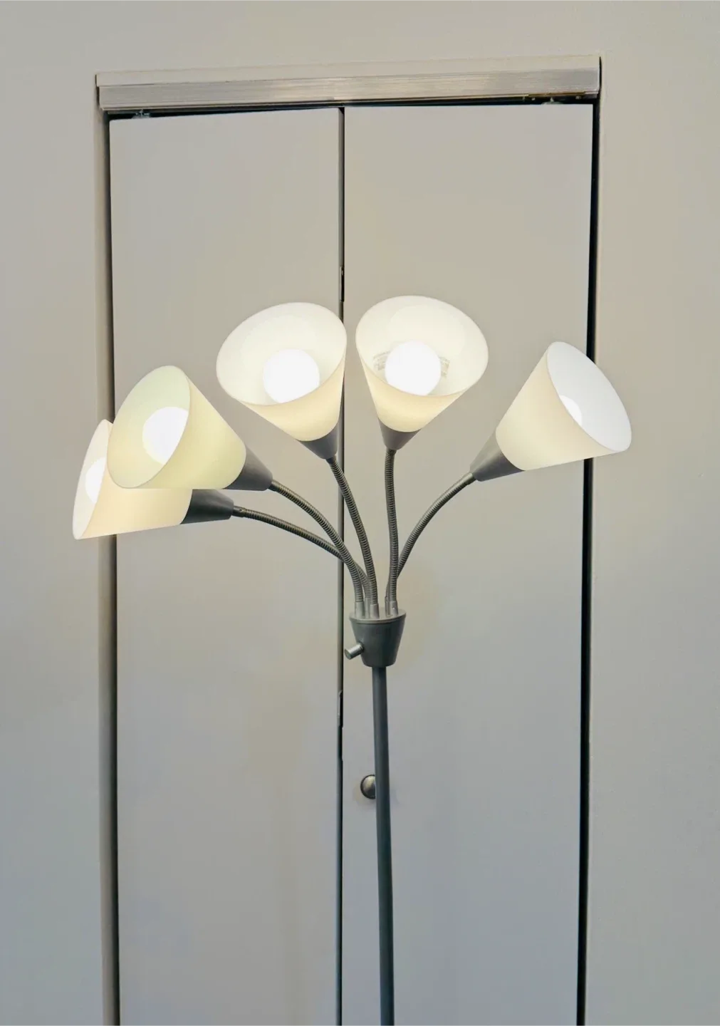 5-Light Floor Lamp (Tall, 5 adjustable heads)