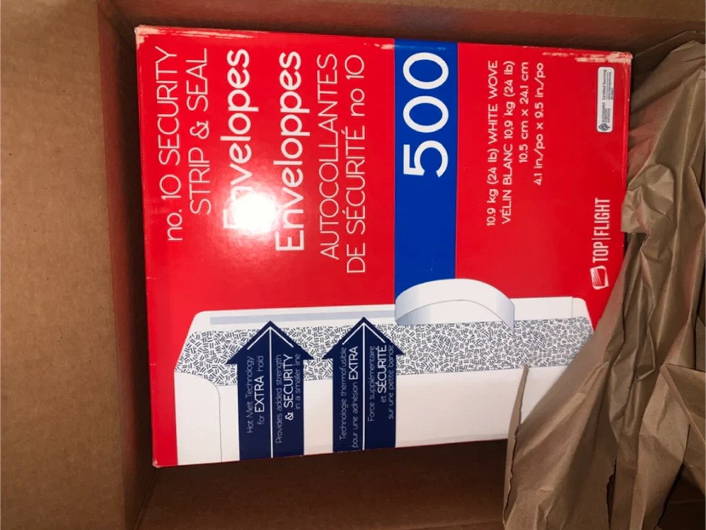 Top Flight No. 10 Security Envelopes - 500 Count