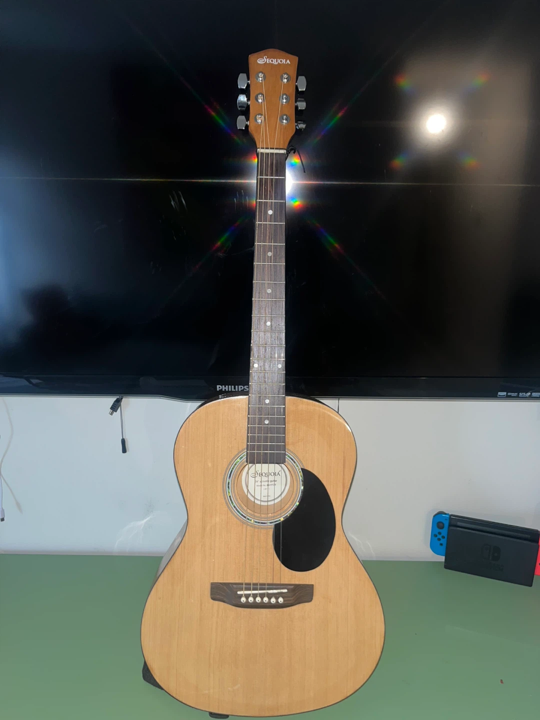Sequoia Acoustic Guitar with Case