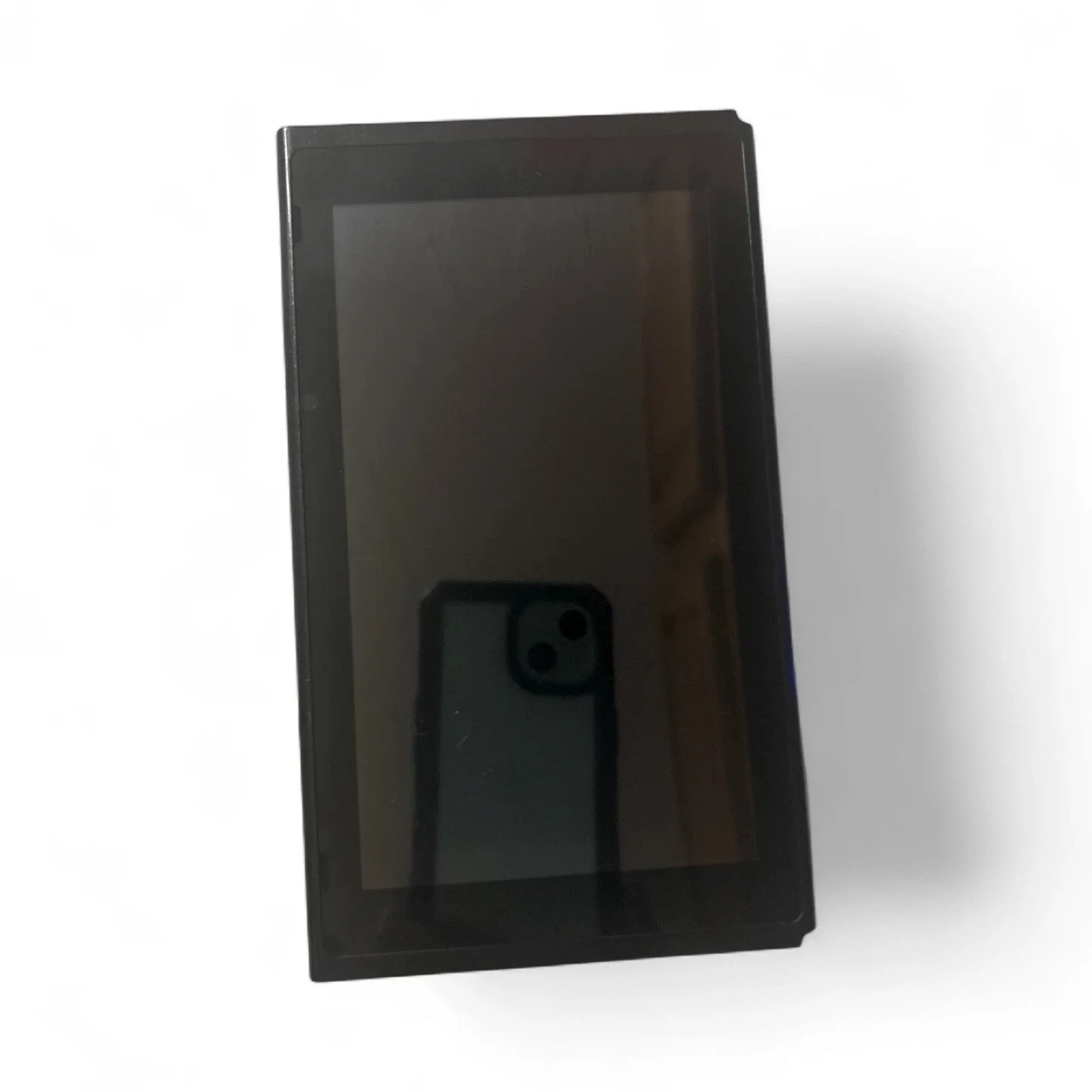 Modded Nintendo Switch – Custom Firmware image indicator(3)