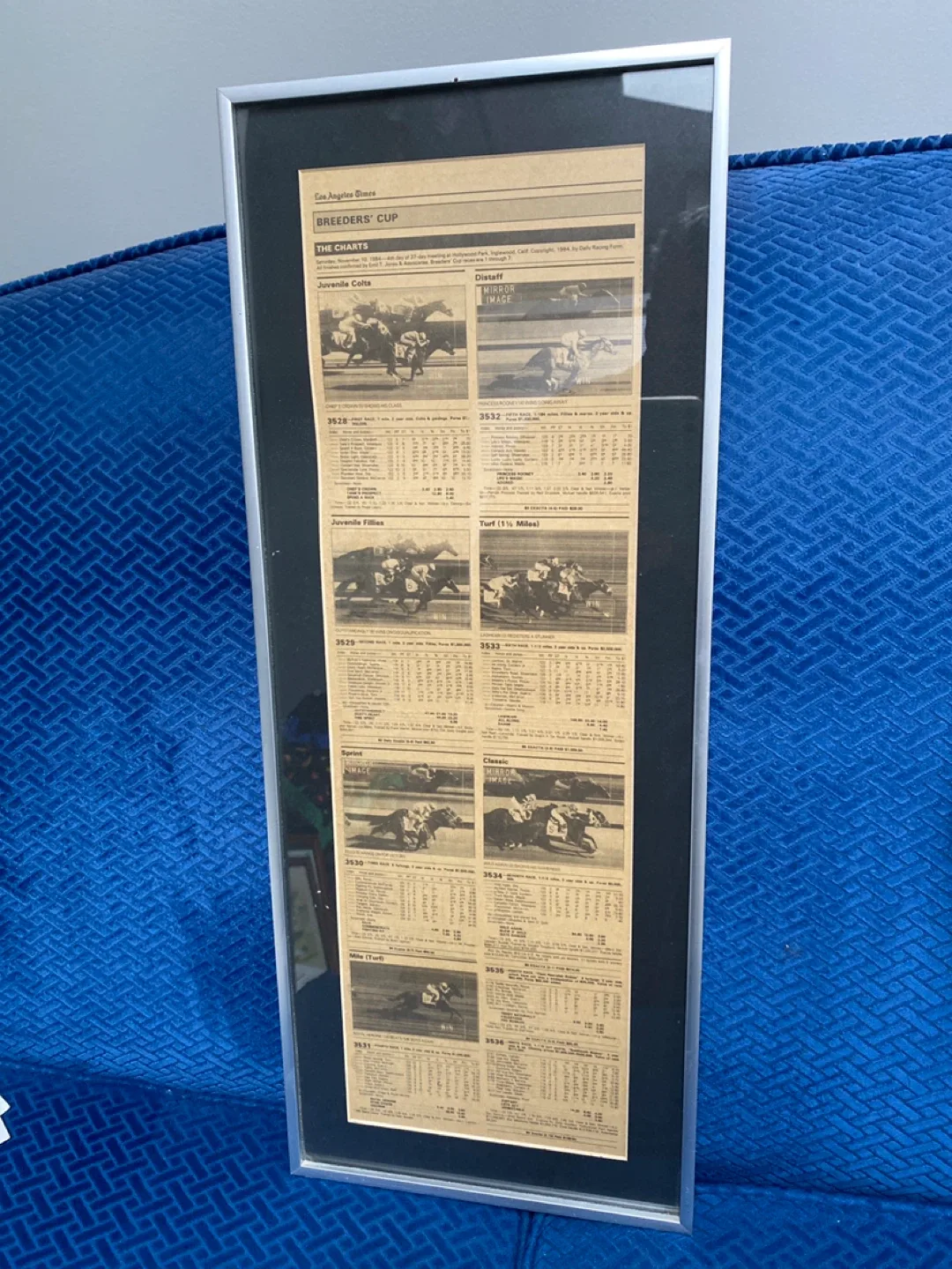 Framed Breeders Cup LA Times Chart Results