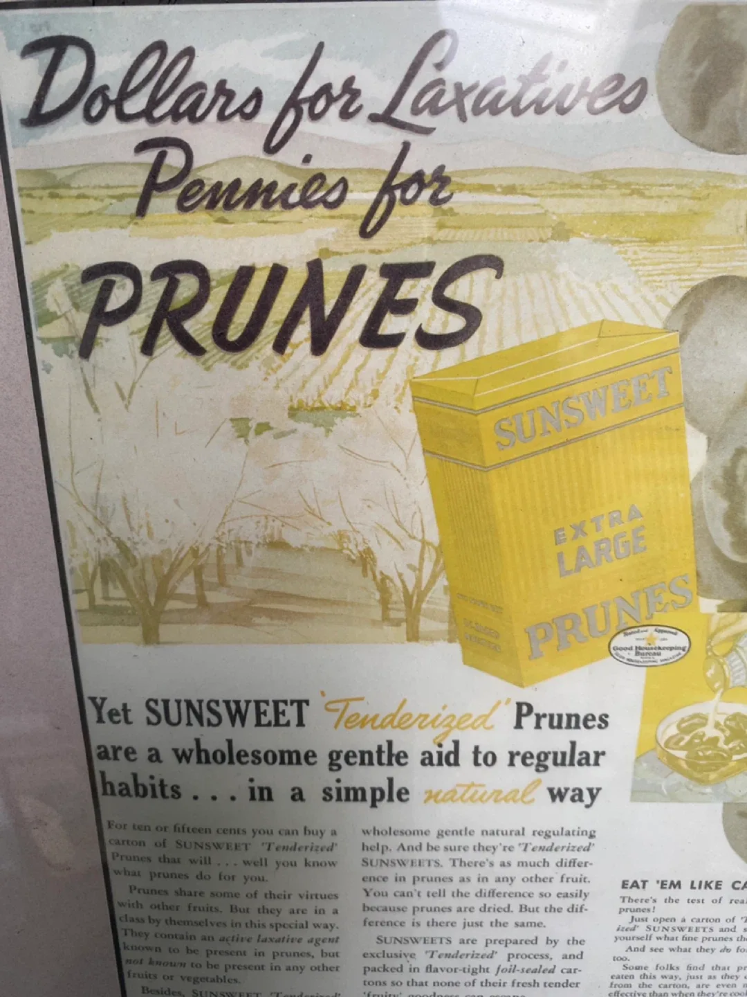 Vintage Sunsweet Prunes Print Ad image indicator(2)
