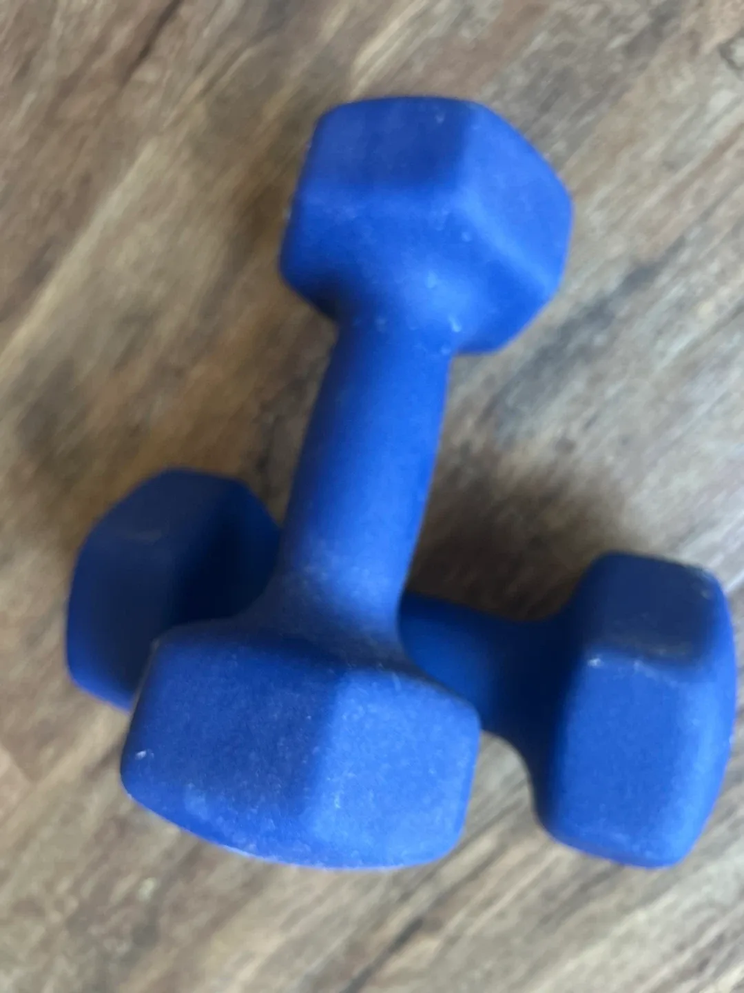 Pair of 10lb Blue Dumbbells image indicator(2)
