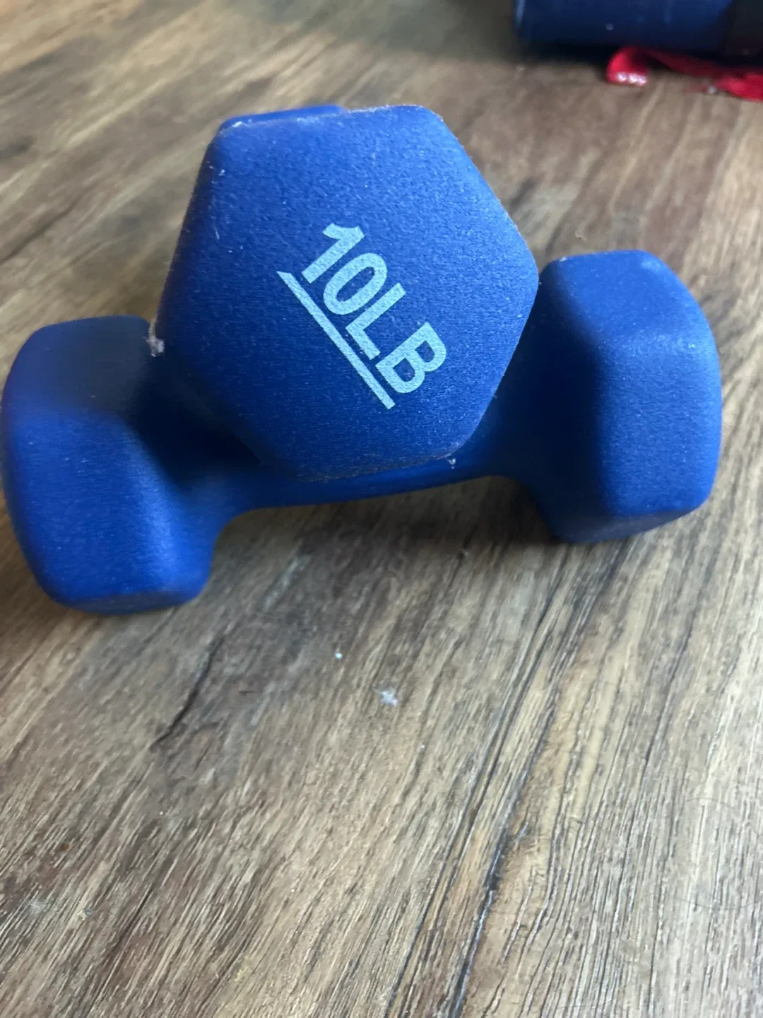 Pair of 10lb Blue Dumbbells image indicator(3)