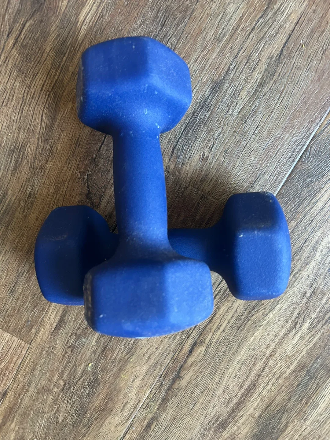 Pair of 10lb Blue Dumbbells